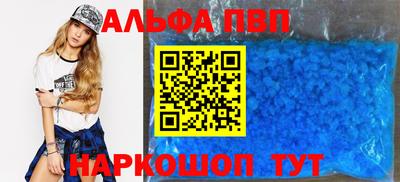 стафф Кингисепп