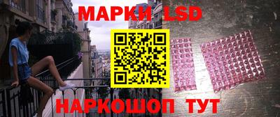 стафф Кингисепп