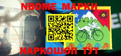 стафф Кингисепп
