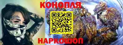стафф Кингисепп