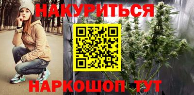 стафф Кингисепп