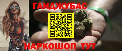 стафф Кингисепп