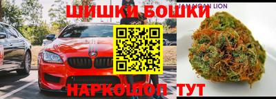 стафф Кингисепп