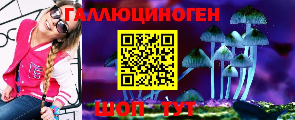 Псилоцибиновые грибы GOLDEN TEACHER  Вход с VPN  Ярославль 